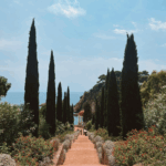 Top 10 des lieux pour un petit mariage en France : charme, intimité et authenticité.